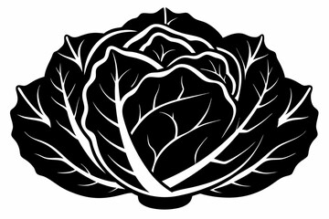 cabbage line art silhouette vector illustration