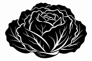 cabbage line art silhouette vector illustration