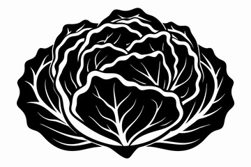 cabbage line art silhouette vector illustration