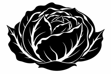 cabbage line art silhouette vector illustration