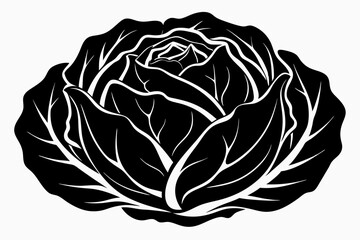 cabbage line art silhouette vector illustration
