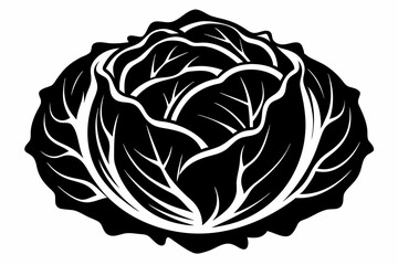 cabbage line art silhouette vector illustration