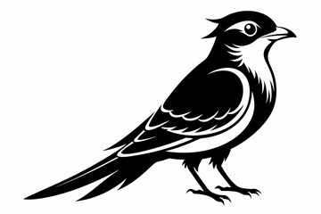 cuckoo line art silhouette vector illustration