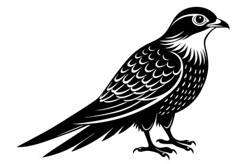 cuckoo line art silhouette vector illustration