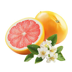 Juicy Grapefruit Slices and Blossoms Refreshing Citrus Delight