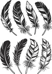 set of feathers vector