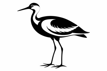 jacana line art silhouette vector illustration