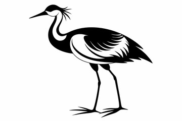 jacana line art silhouette vector illustration