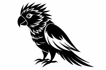 lorikeet bird line art silhouette vector illustration