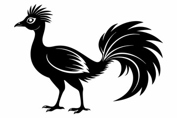 lyrebird line art silhouette vector illustration