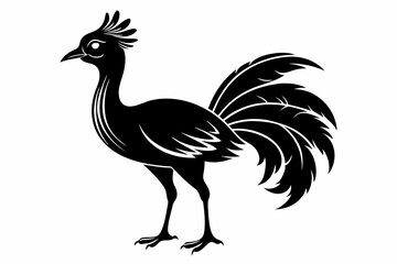 lyrebird line art silhouette vector illustration