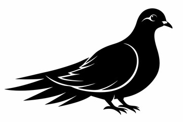 mourning dove line art silhouette vector illustration