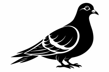 mourning dove line art silhouette vector illustration