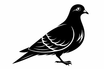mourning dove line art silhouette vector illustration