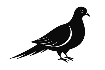 mourning dove line art silhouette vector illustration