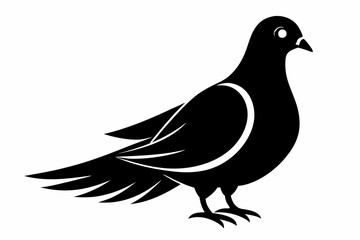 Fototapeta premium mourning dove line art silhouette vector illustration