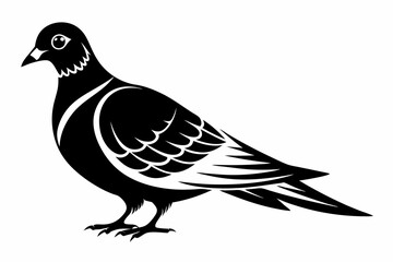 mourning dove line art silhouette vector illustration