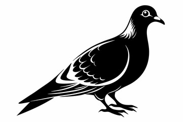 mourning dove line art silhouette vector illustration