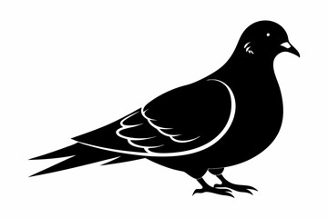 mourning dove line art silhouette vector illustration