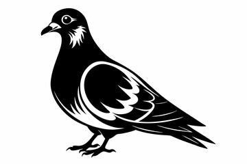 rock pigeon line art silhouette vector illustration