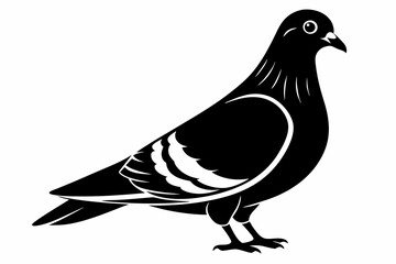 rock pigeon line art silhouette vector illustration