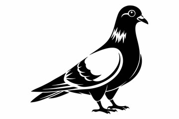rock pigeon line art silhouette vector illustration