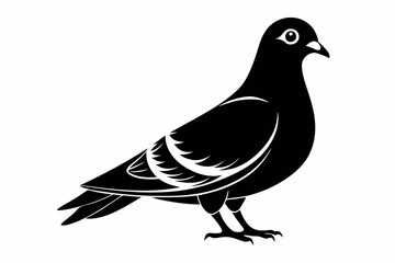 rock pigeon line art silhouette vector illustration