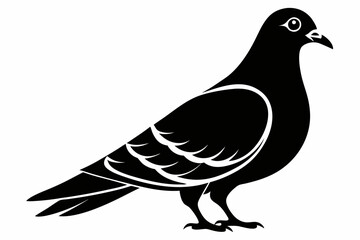 rock pigeon line art silhouette vector illustration