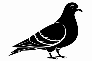 rock pigeon line art silhouette vector illustration