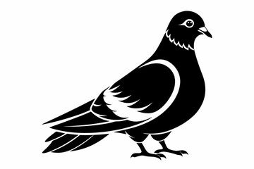 rock pigeon line art silhouette vector illustration