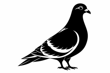 Obraz premium rock pigeon line art silhouette vector illustration
