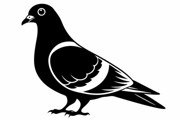 rock pigeon line art silhouette vector illustration