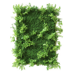 Lush green vertical garden wall vibrant life tranquil nature