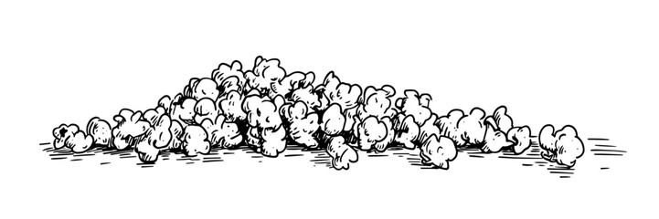 pile of popcorn kernels, hand drawn vintage engraving vector