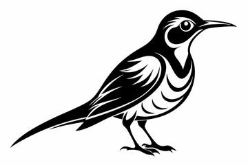 sunbird line art silhouette vector illustration