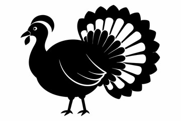 turkey line art silhouette vector illustration