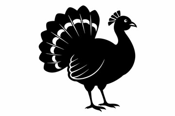 turkey line art silhouette vector illustration