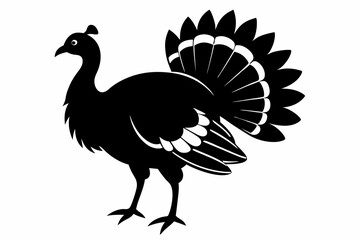 Obraz premium turkey line art silhouette vector illustration