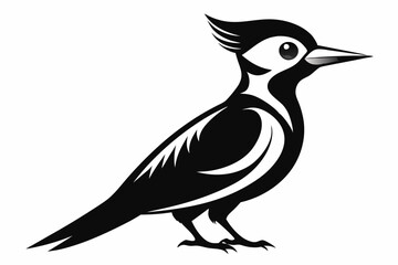 woodpecker line art silhouette vector illustration