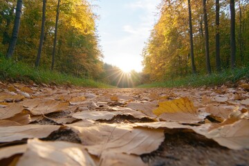sunlit path covered with golden autumn leaves winding through dense forest inviting wanderers to explore vibrant colors