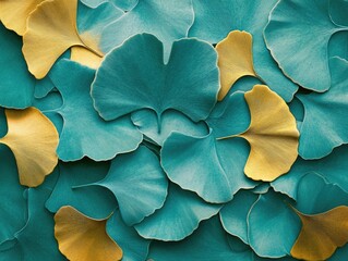 Close up of yellow and green leaves
