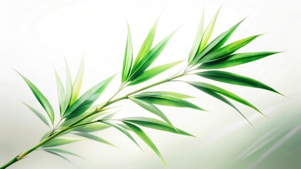 Obraz premium Long Exposure Bamboo Leaves Isolated White Background Stock Photo - Nature Photography