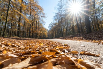 sunlit path covered with golden autumn leaves winding through dense forest inviting wanderers to explore vibrant colors