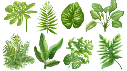 Colorful Tropical Foliage Illustration Cartoon Vector for Artistic Design Projects