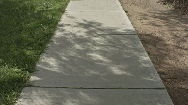 Time-Lapse 2017 Partial Eclipse Tree Leaves Shadow2