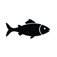 fish isolated on white