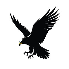 eagle in the sky