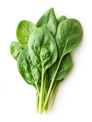 Fresh spinach leaves showing healthy green color on white background