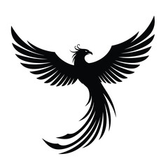 eagle vector illustration