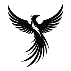 eagle vector illustration
